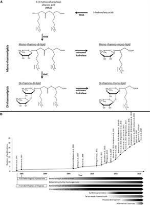 Heterologous Rhamnolipid Biosynthesis: Advantages, Challenges, and the Opportunity to Produce Tailor-Made Rhamnolipids